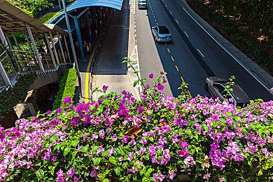 连年亏损！《英雄联盟》PCS赛区BYG战队宣布解散